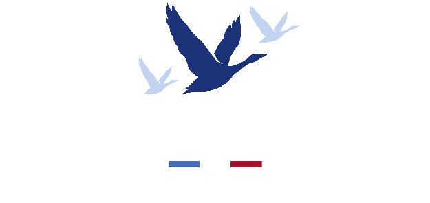 grey goose